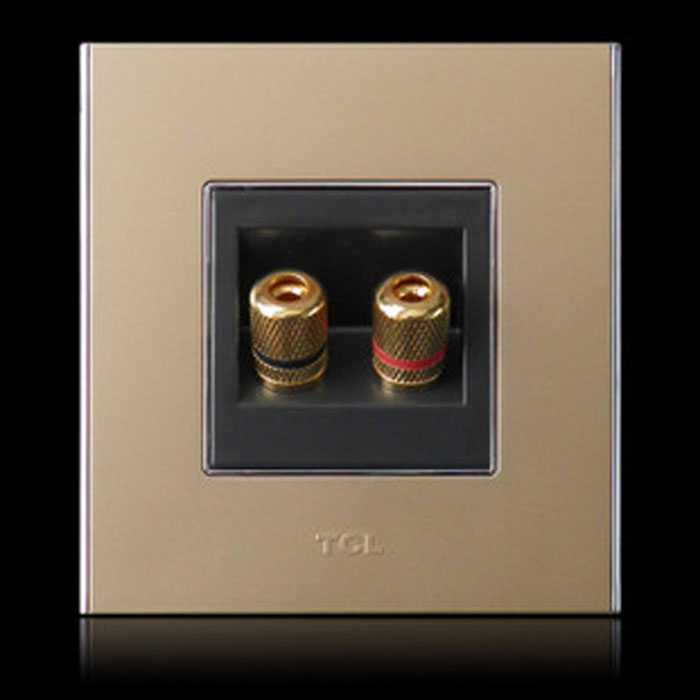Legrand Wall Switch(Golden)  1 Way Audio socket